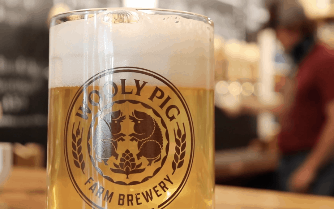 wooly pig farm brewery