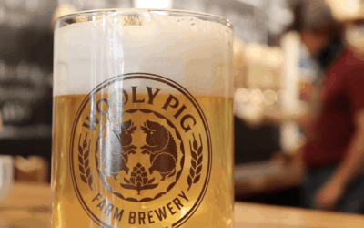 Brewing Up A Business with Wooly Pig Farm Brewery