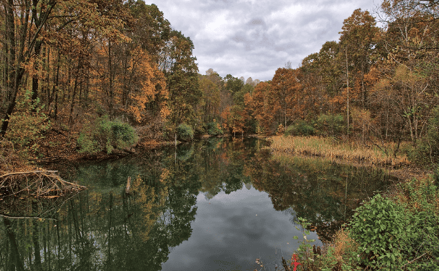 WOODBURY WILDLIFE AREA