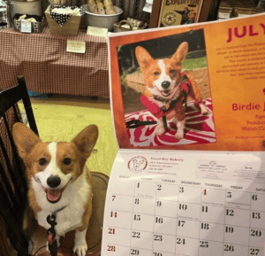 good boy bakery calendar